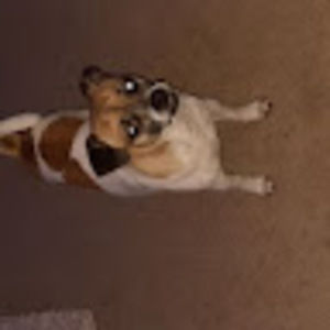 Meet your Posher, Skyler